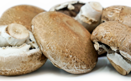 Portobello Mushrooms